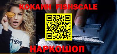 крисы Можга