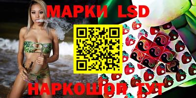 a pvp Моздок