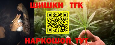 крисы Можга