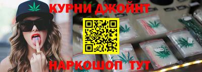 крисы Можга