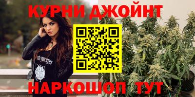 крисы Можга