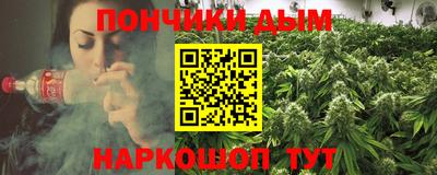 крисы Можга