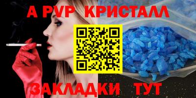 крисы Можга