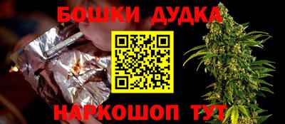 крисы Можга