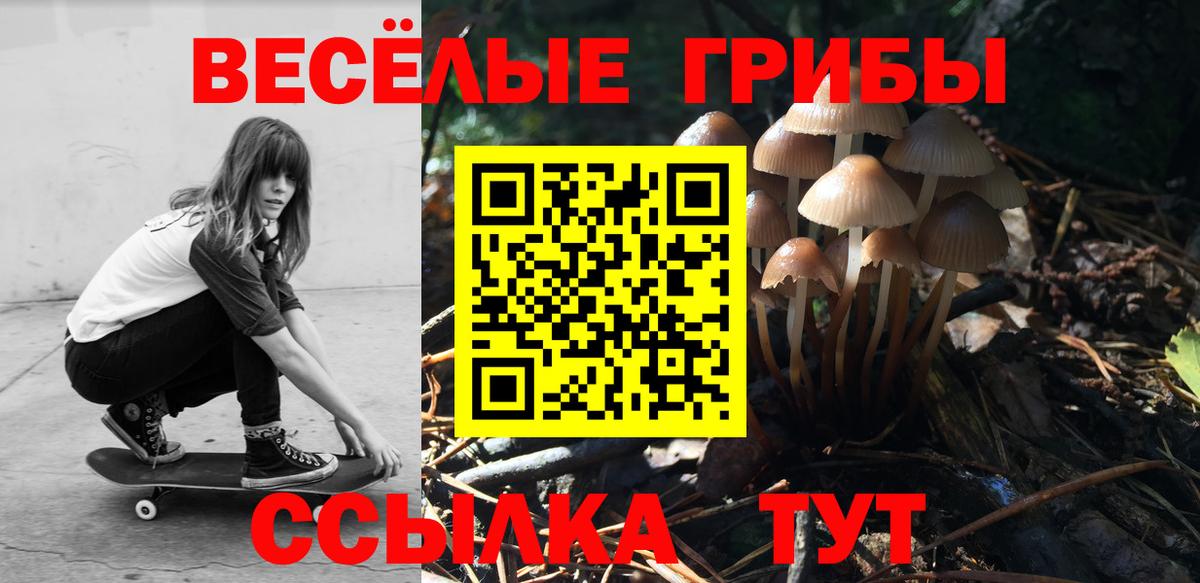Галлюциногенные грибы мухоморы  Галлюциногенные грибы Psilocybine cubensis  Сунжа  Вход с VPN 