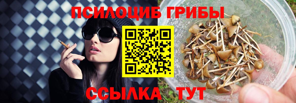 Галлюциногенные грибы Cubensis Сунжа