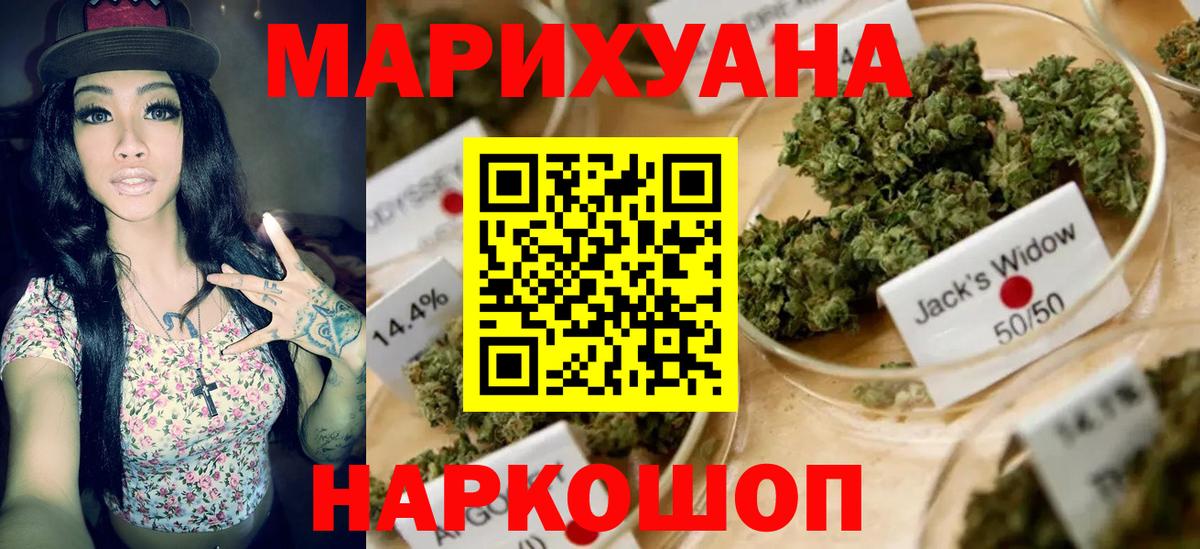 МАРИХУАНА SATIVA & INDICA Сунжа